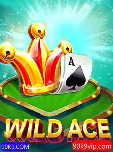 Descubra o Mundo Empolgante de WildAce